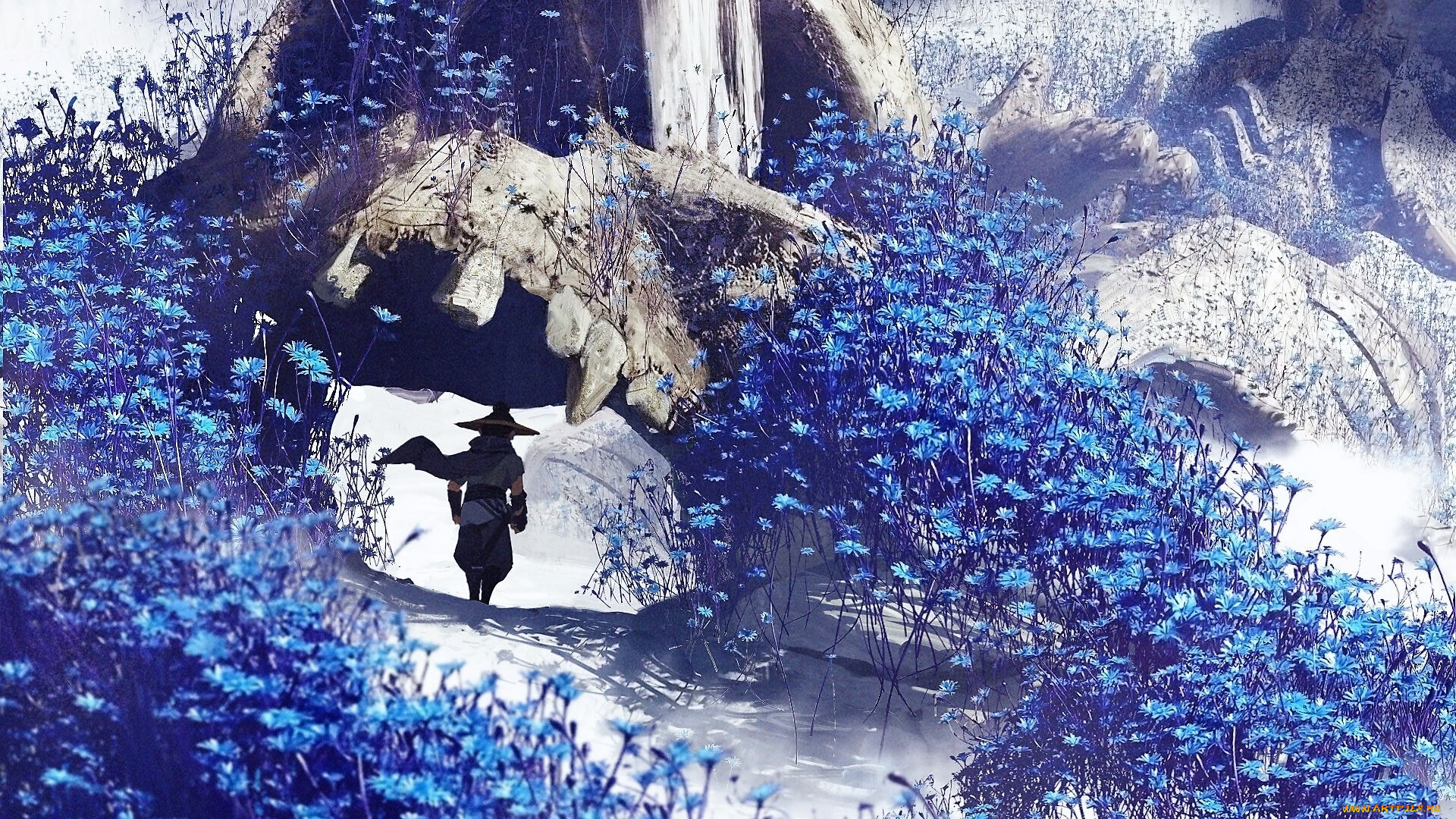 , ,  , , , 